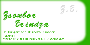 zsombor brindza business card